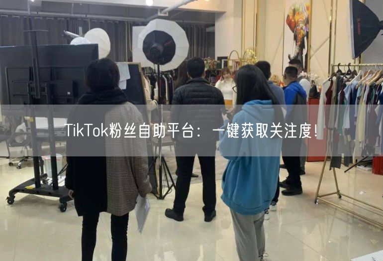 TikTok粉丝自助平台：一键获取关注度！